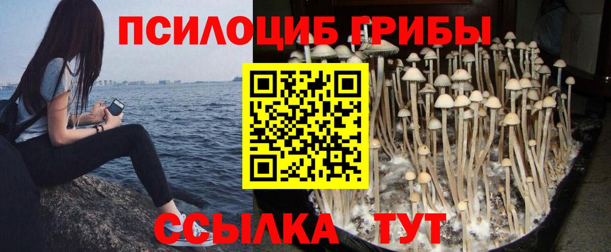 Псилоцибиновые грибы Magic Shrooms Арзамас